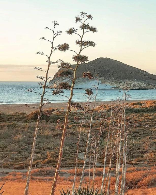 Magnifica Casa Con Encanto En Agua Amarga Agua Amarga  Esterno foto